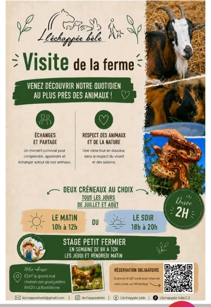 L'échappée bêle à la Bastidonne._La Bastidonne