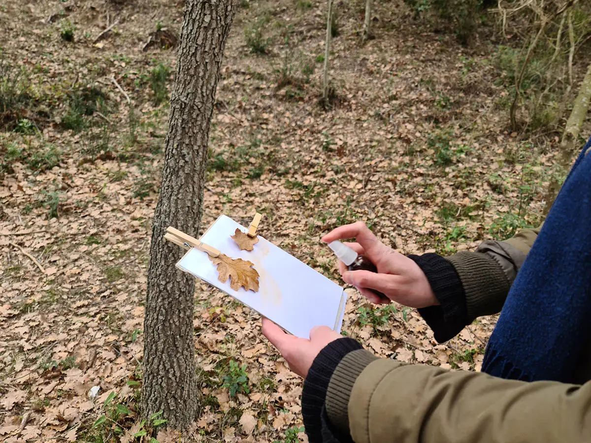 Visite ludique et scientifique avec Sorciences