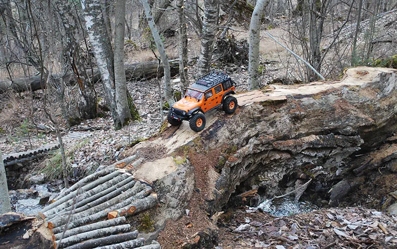 Week-end du modélisme_Allos