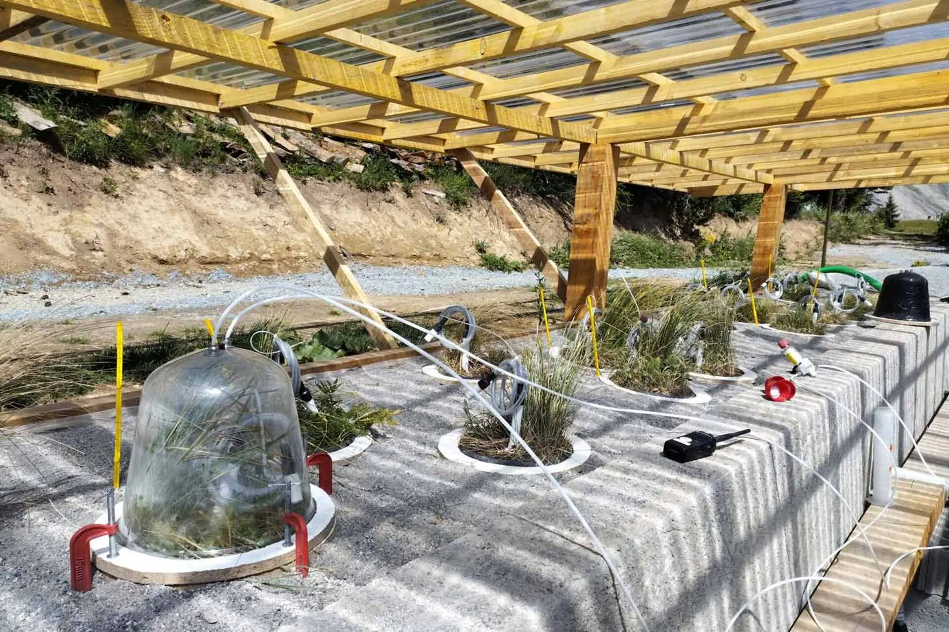 Le microbiome des sols alpins