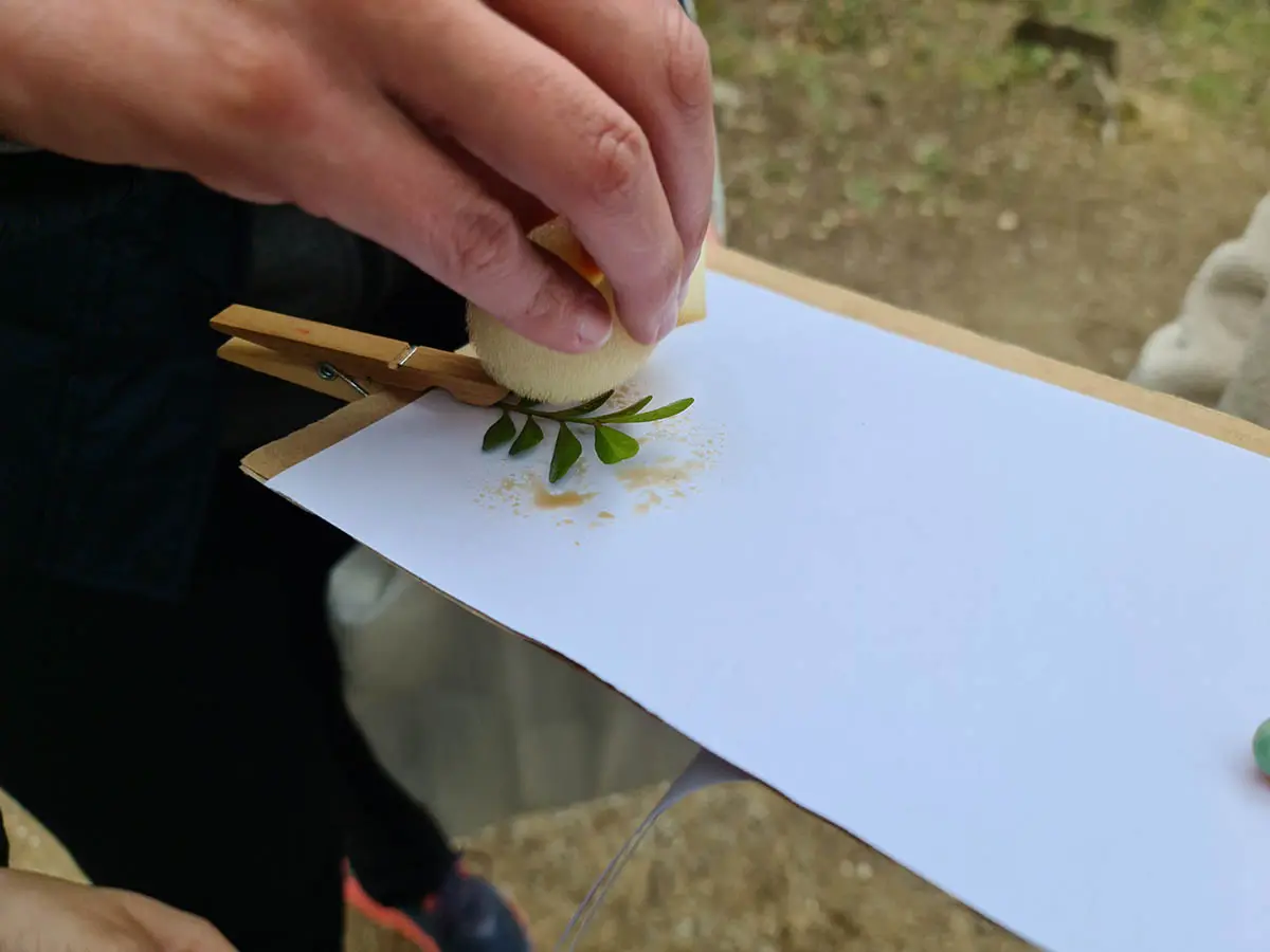 Visite ludique et scientifique avec Sorciences
