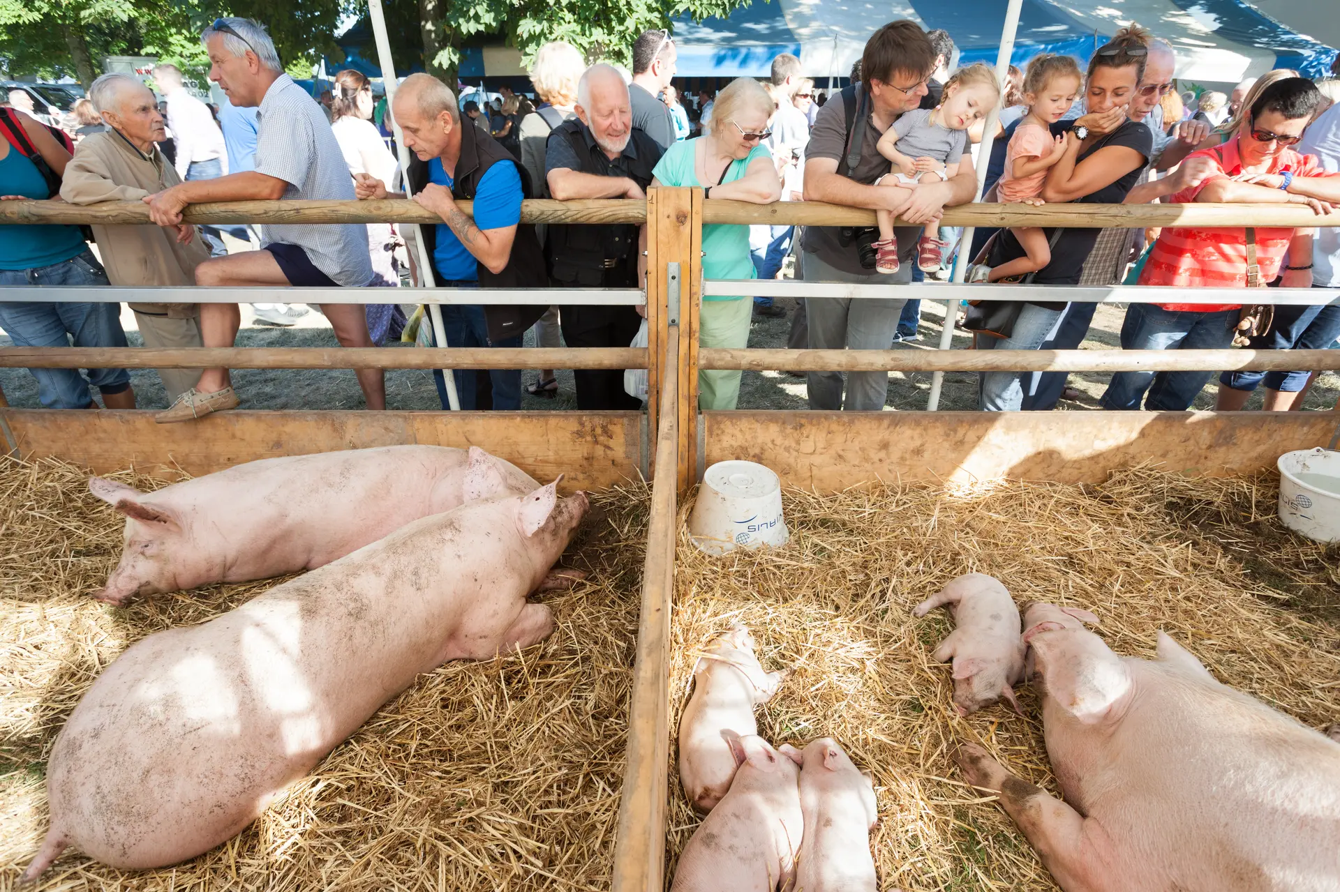 Foire de Crête