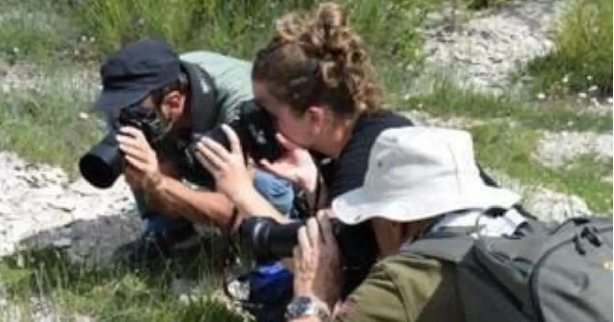 Sortie photo ABC