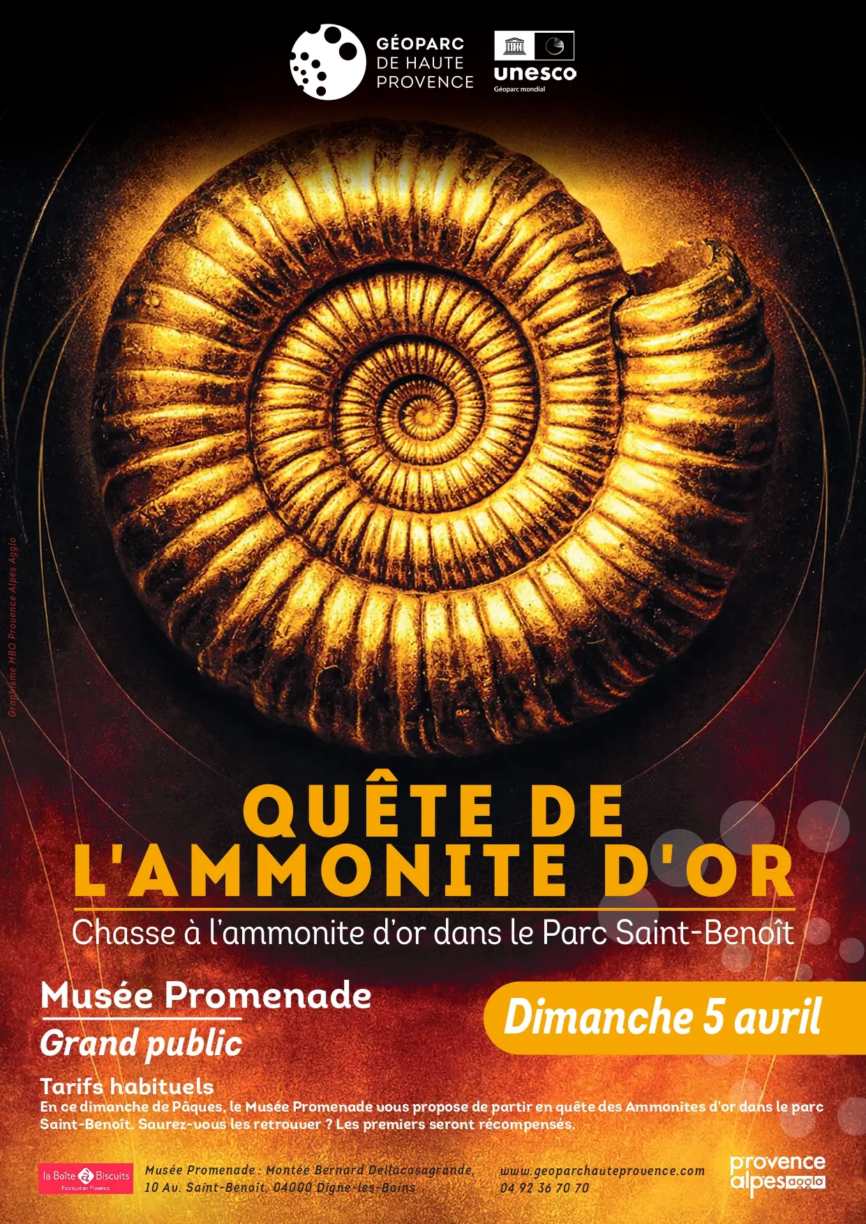 Quête de l'ammonite d'or