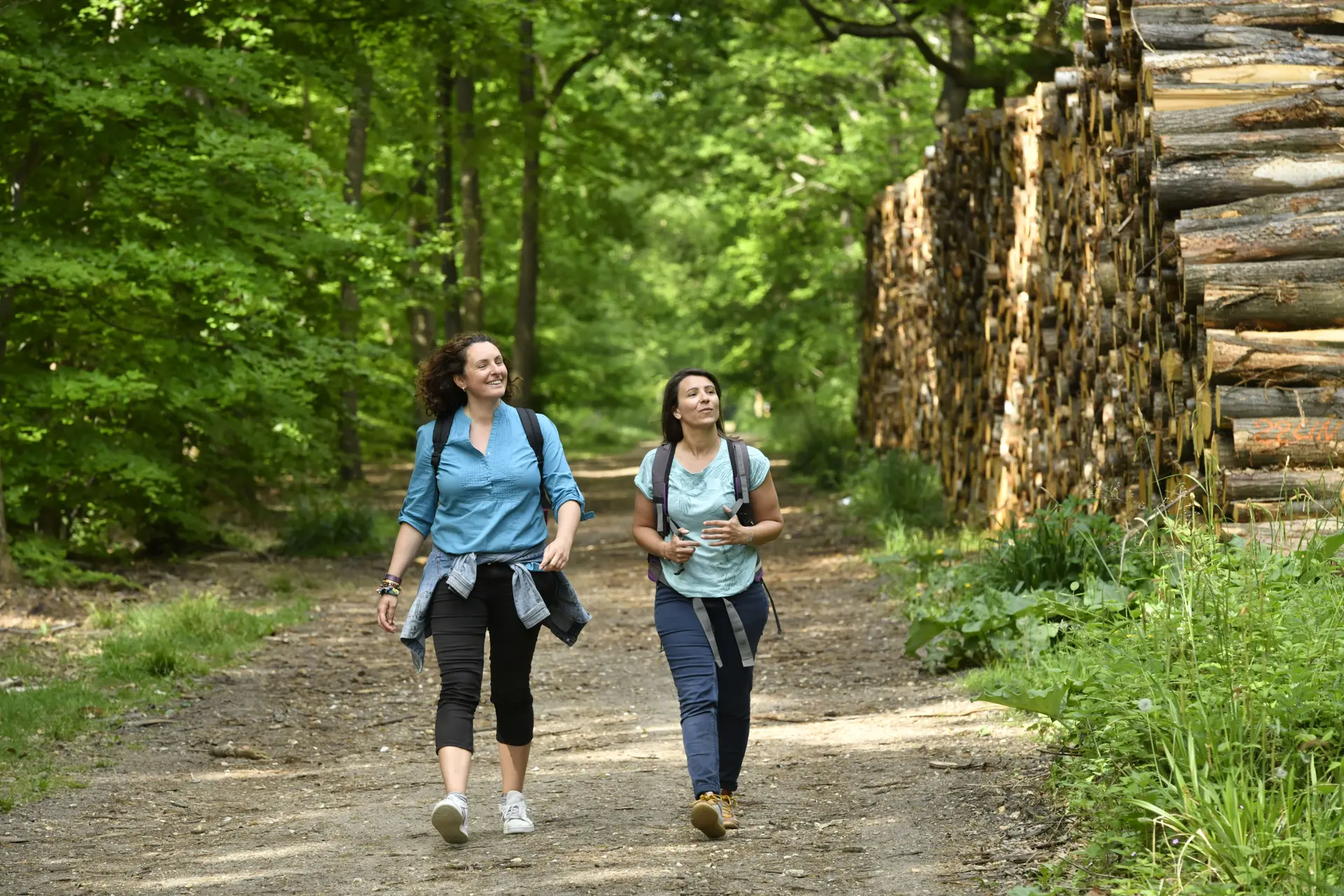 Les arbres remarquables en famille en forêt de Saint-Germain