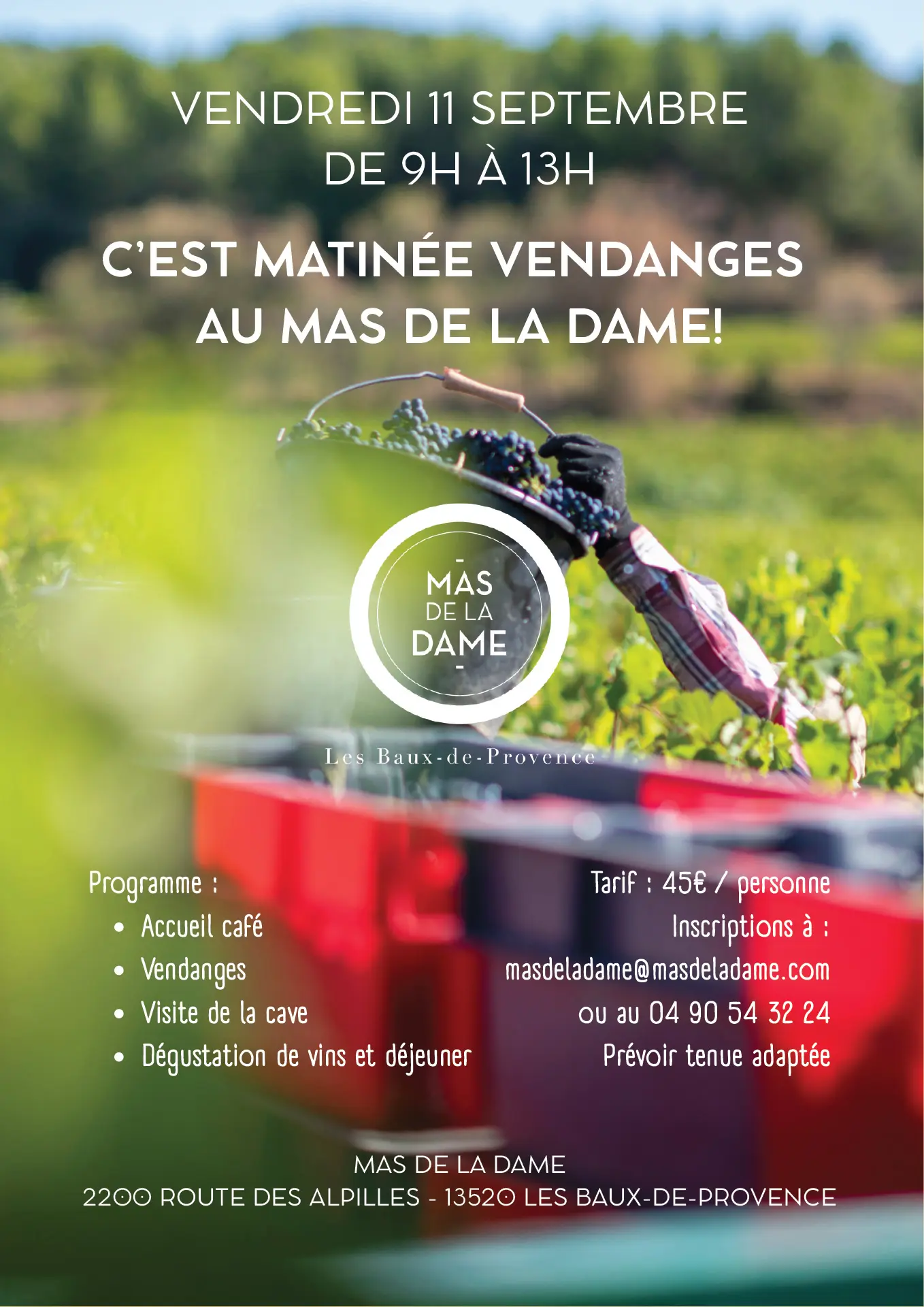 Affiche matinée vendanges