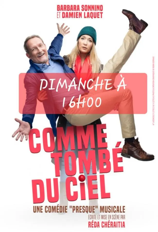 Affiche_Comme tombé du ciel