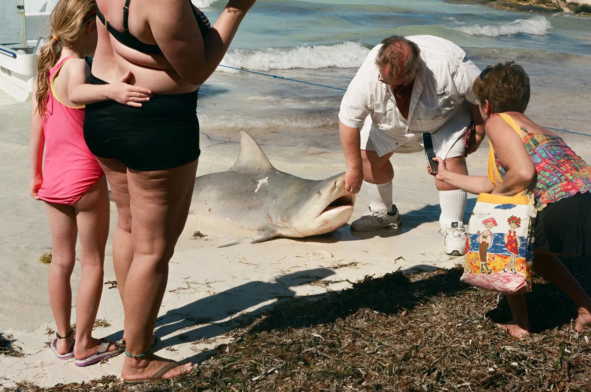 Exposition L'étincelle de l'aube, galerie Zemma
