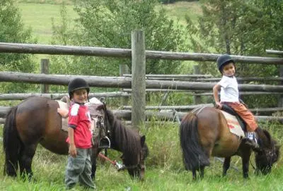 poneys de Corrençon