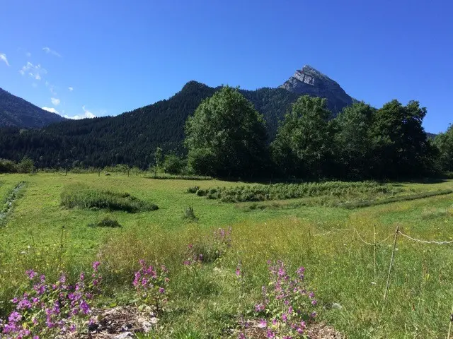 Petit jardinier