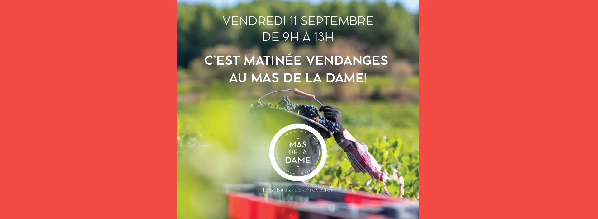 Affiche matinée vendanges