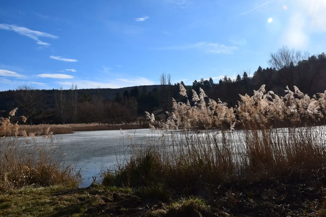 Sortie naturaliste_Avignon