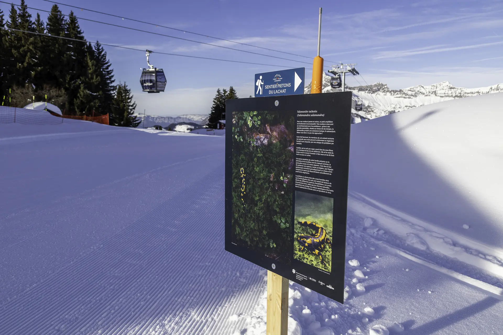 Expo photo au sommet du Lachat sur sentier piétons