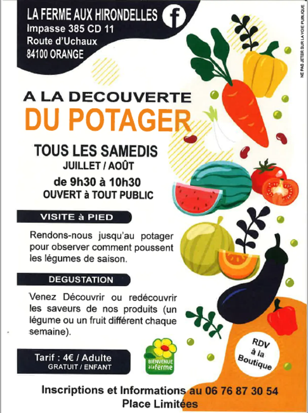A la découverte du potager