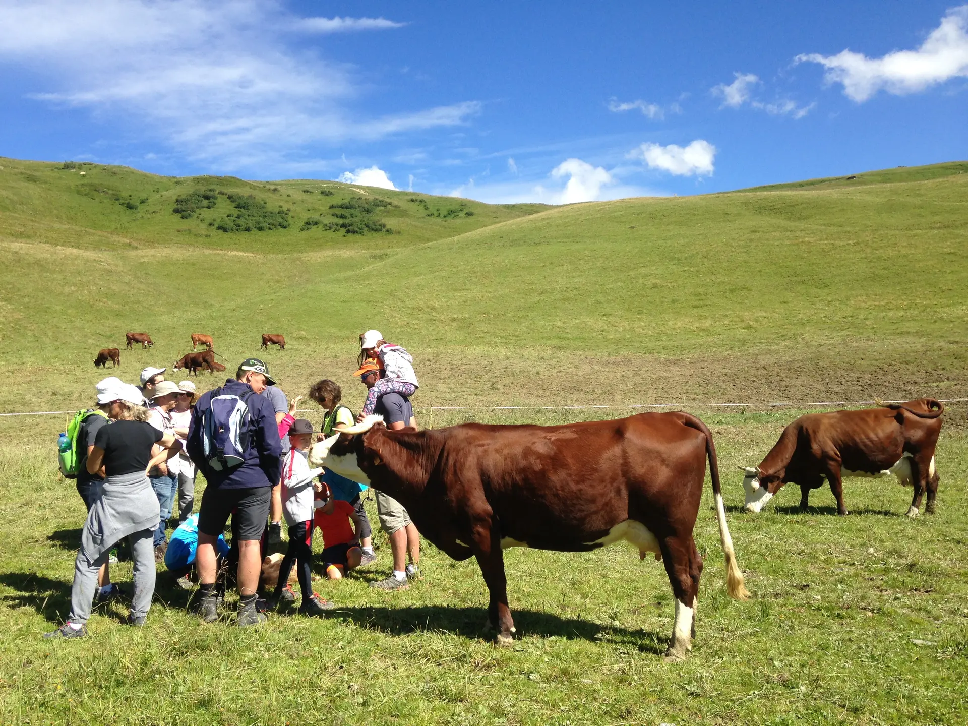 Visite à l'alpage du col du Joly