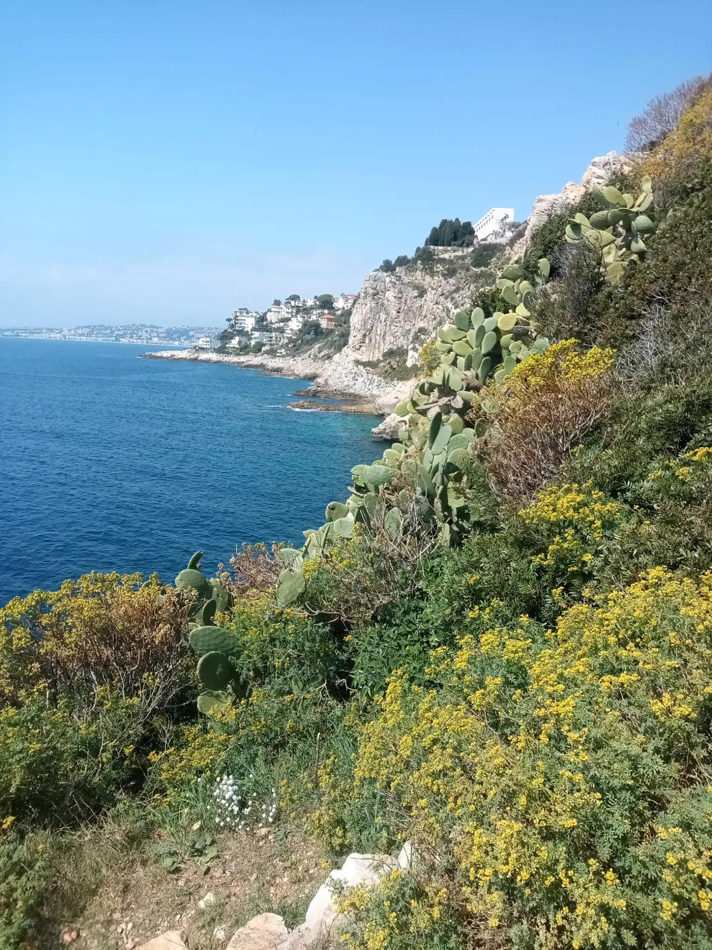 Sentier littoral niçois