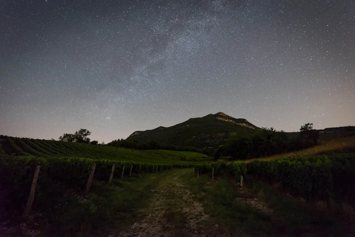 A la croisée des vins et des étoiles_