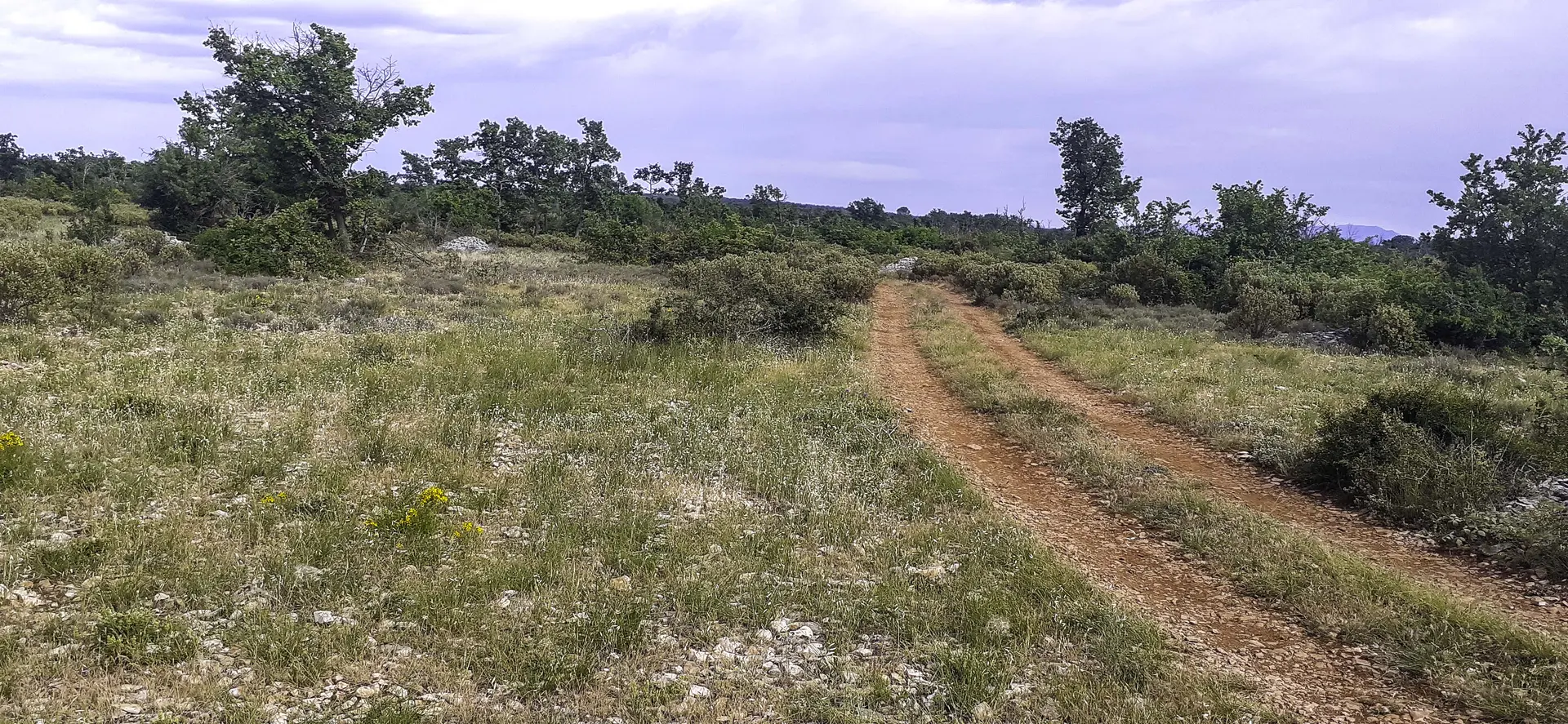 Pelouses steppiques et garrigue d’Esparron