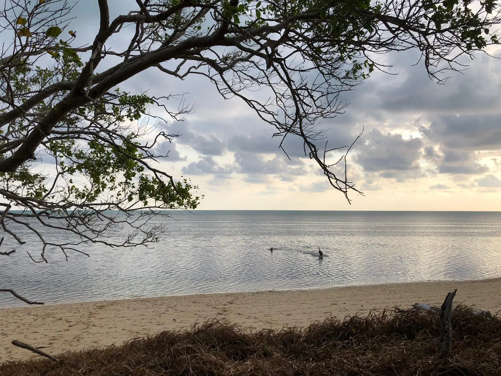 Côté mer