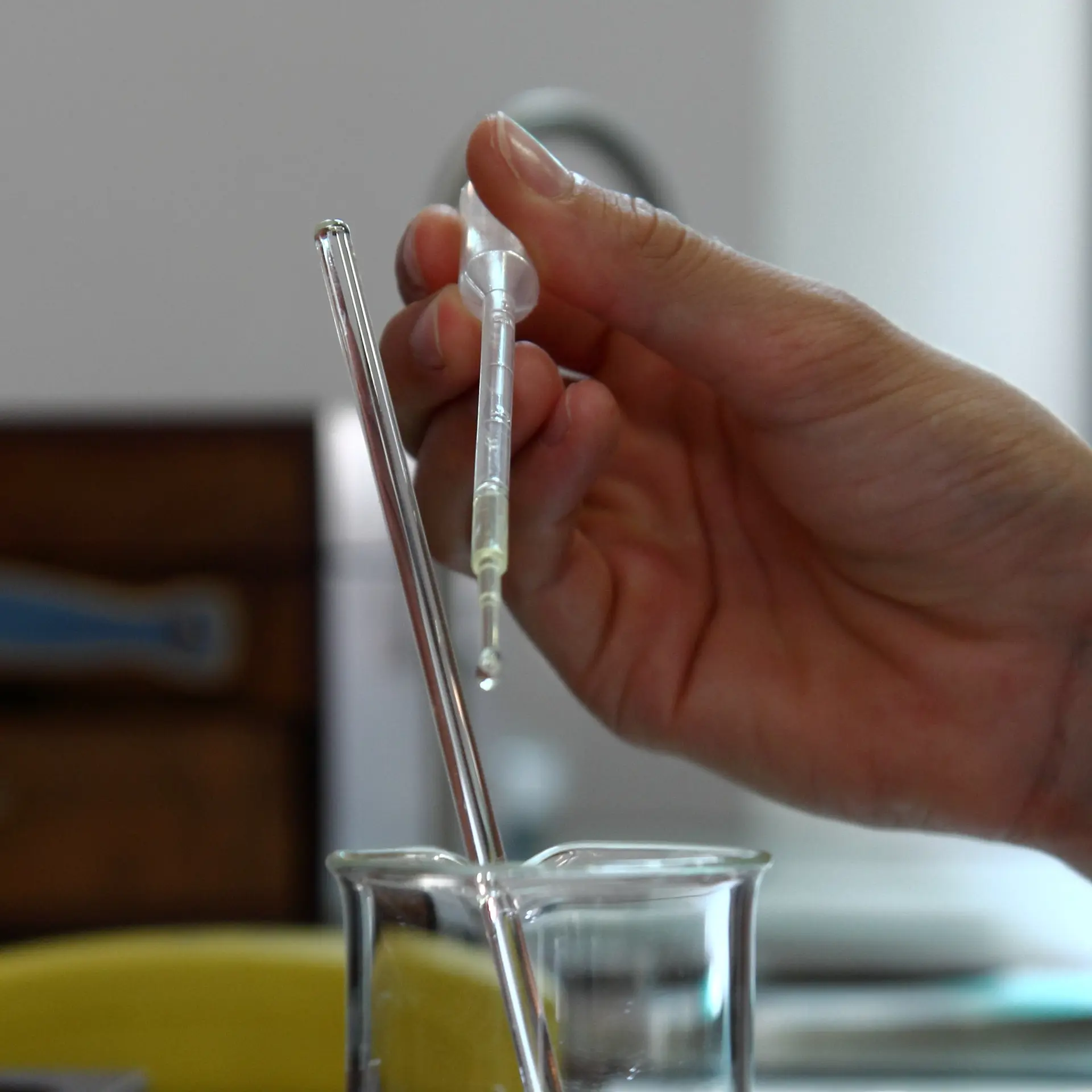 Atelier du parfumeur