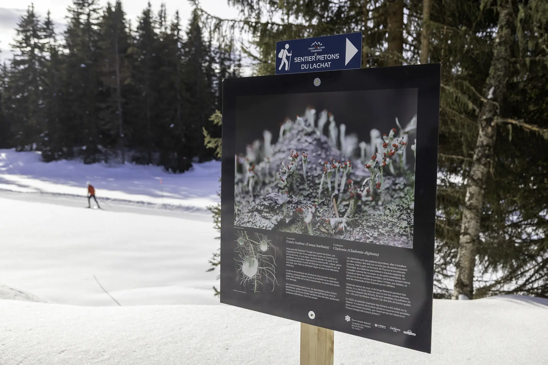 Se balader et s'informer sur la biodiversité de la Tourbière