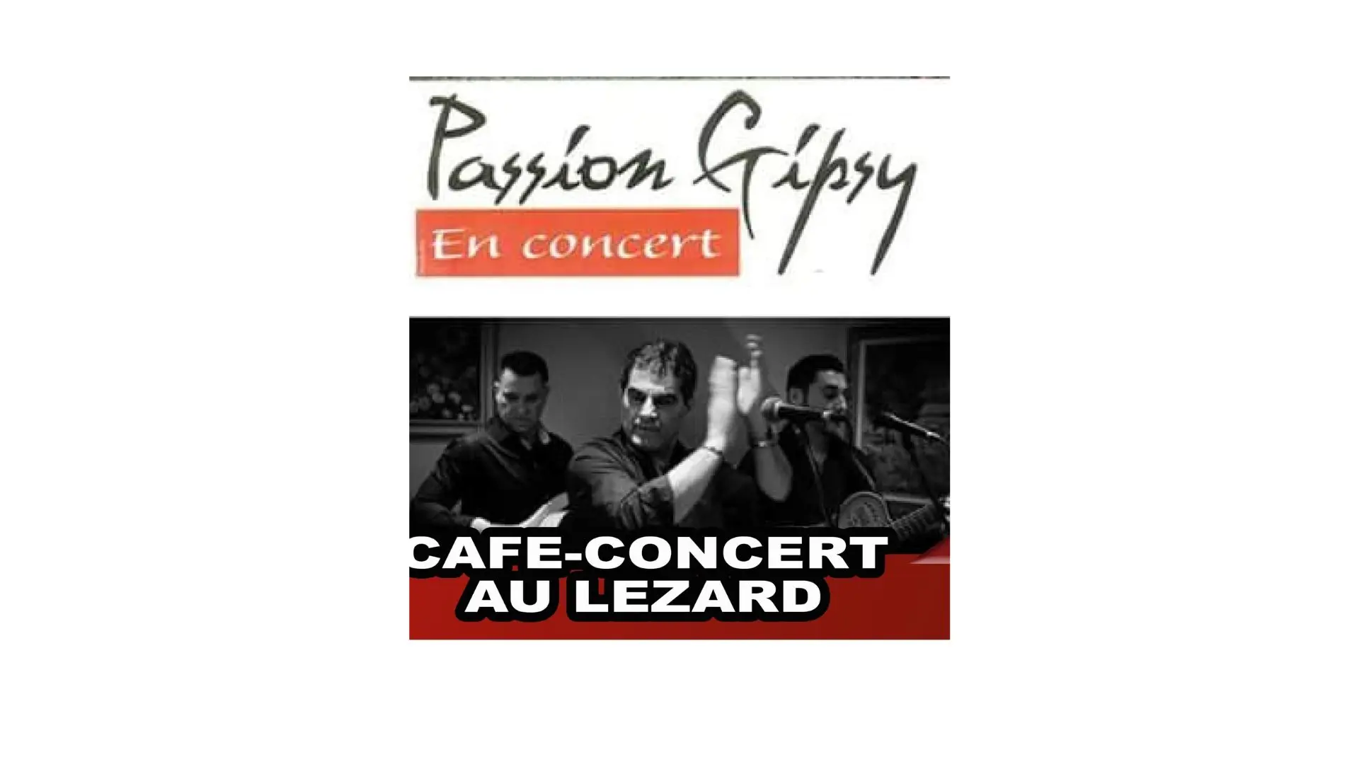 Le lézard passion gypsy