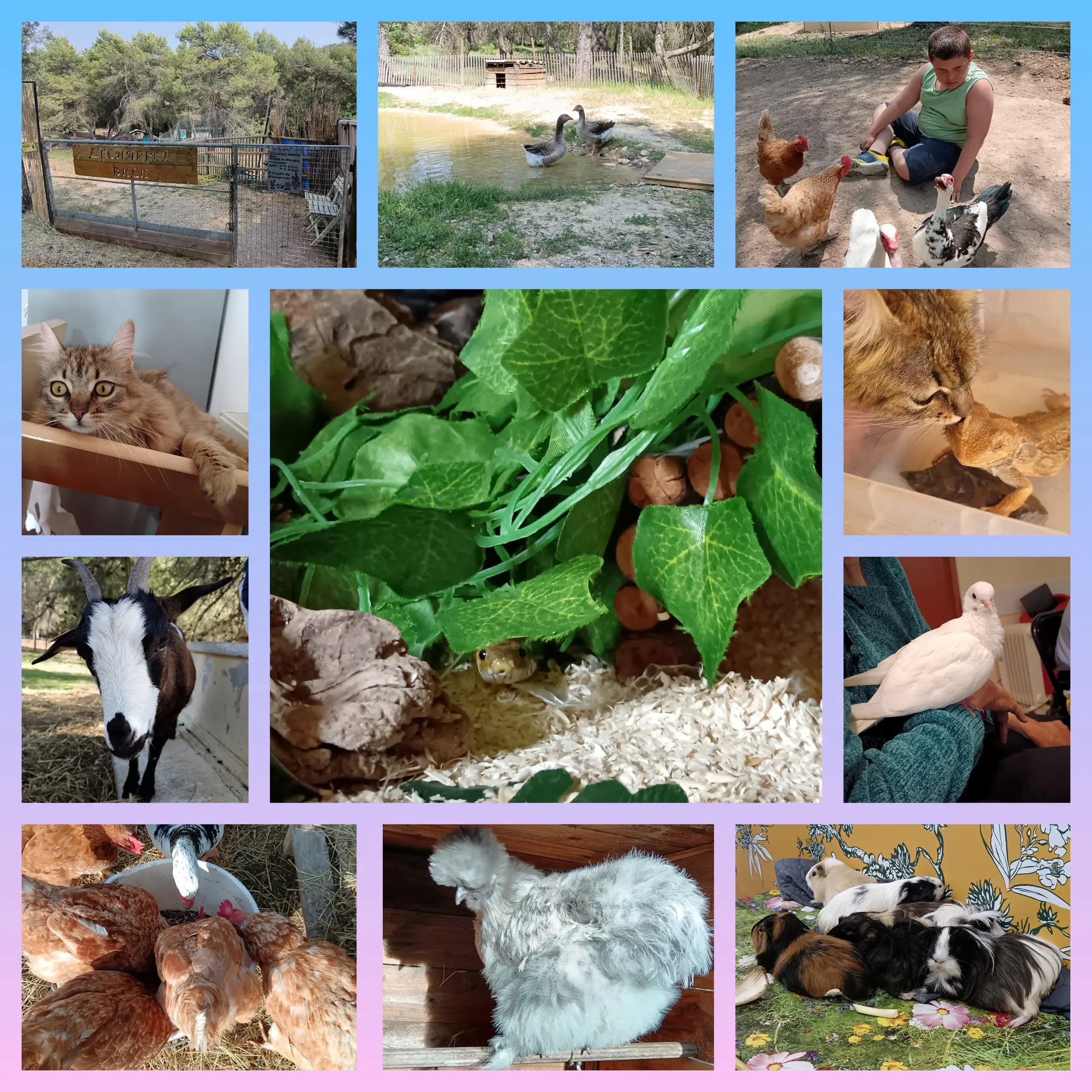 visite de ferme pédagogique à La Bastisonne_La Bastidonne