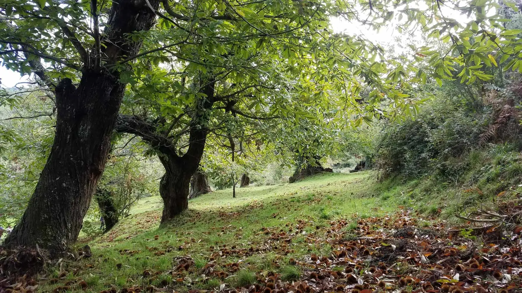 Les visites guidées en Méditerranée Porte des Maures