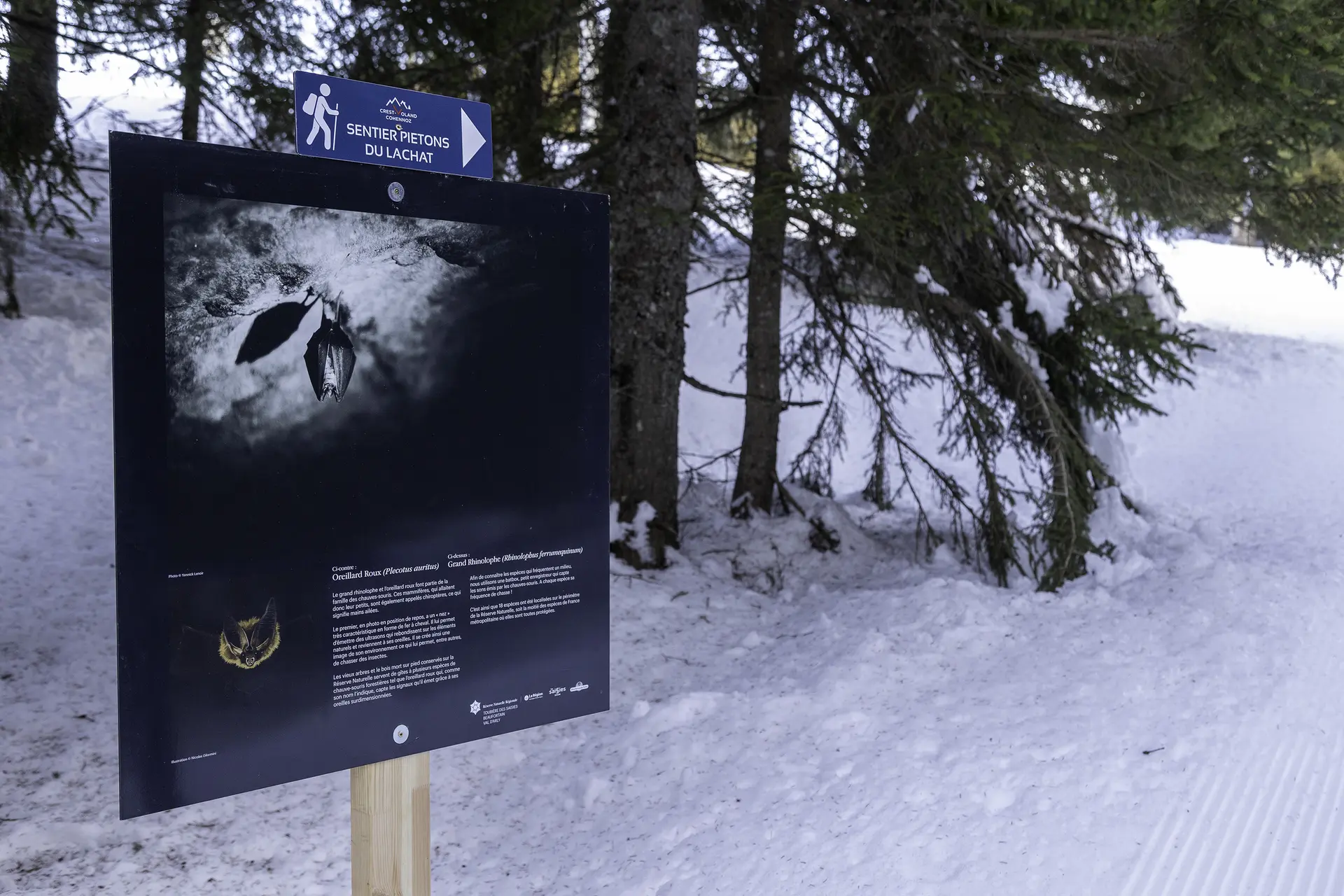 Sentier piéton agrémenté de panneau photos/peinture au sommet du Lachat