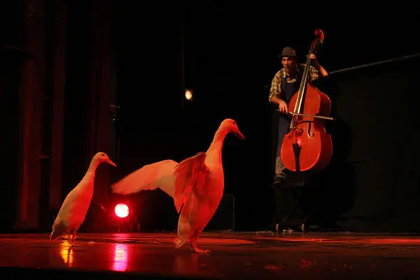 Children's show - Retour à la Terre