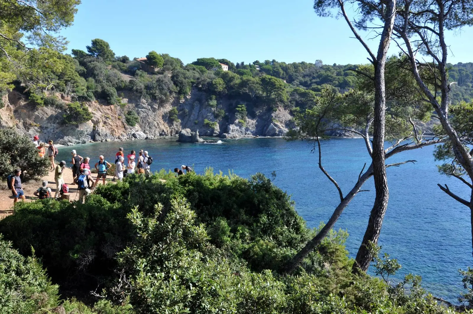 Balade randonnée sur le littoral de giens à la rencontre des oiseaux marins