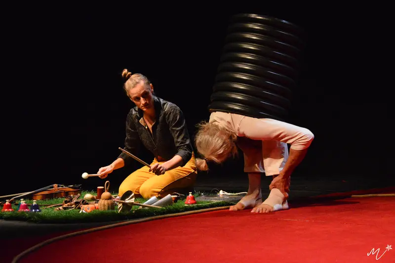 Festival des Arts du cirque : Toyo !- Cirque et musique_Faverges-Seythenex