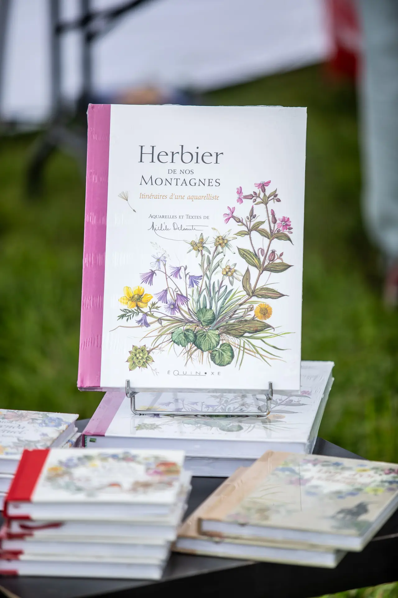 Un livre sur les plantes aromatiques