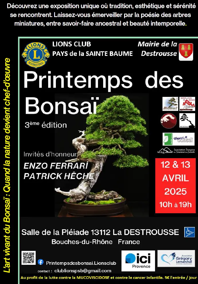 Flyer Printemps des Bonsaï