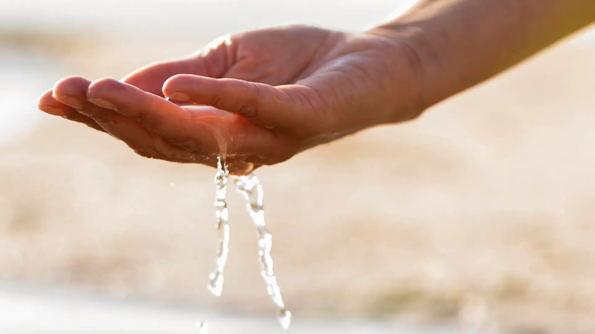 Médiathèque Stravinski