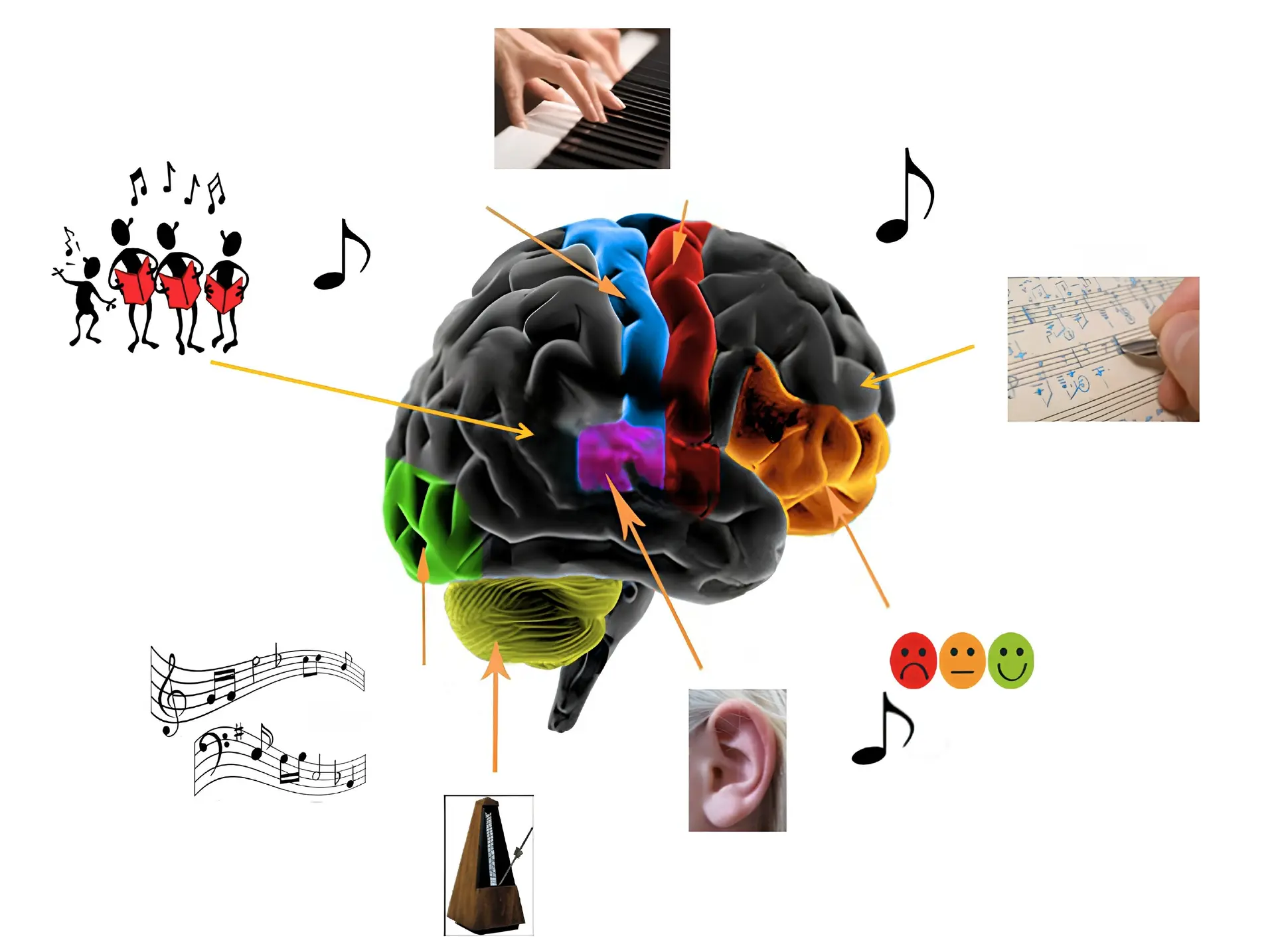 La Musique nous fait-elle du bien ?