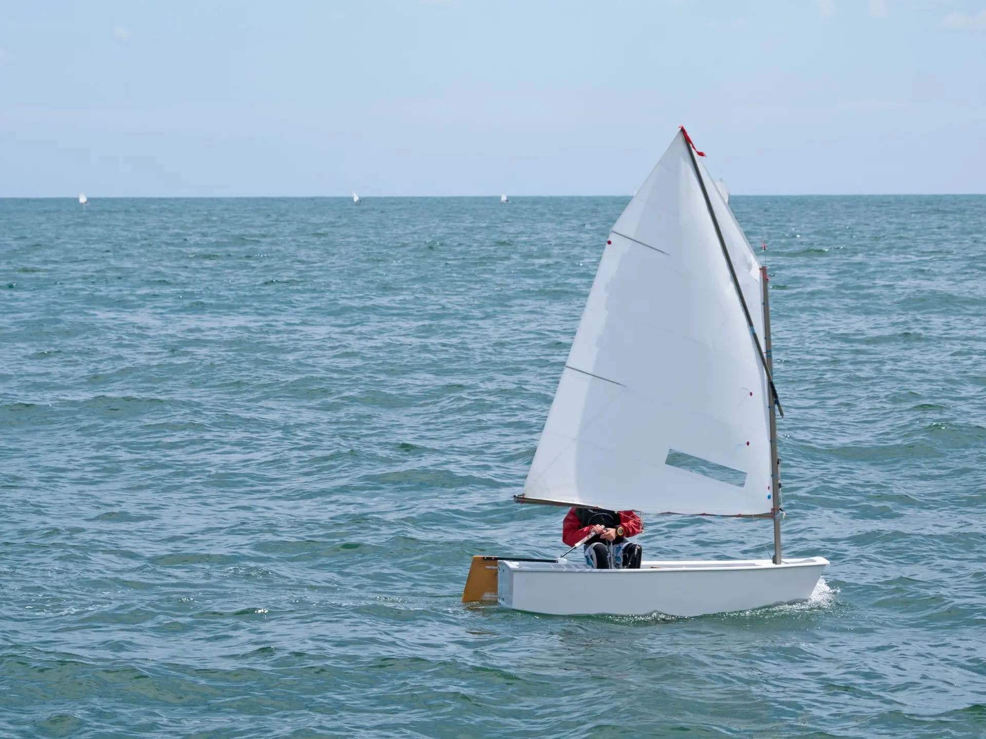 Les voiles des vignerons_Bandol