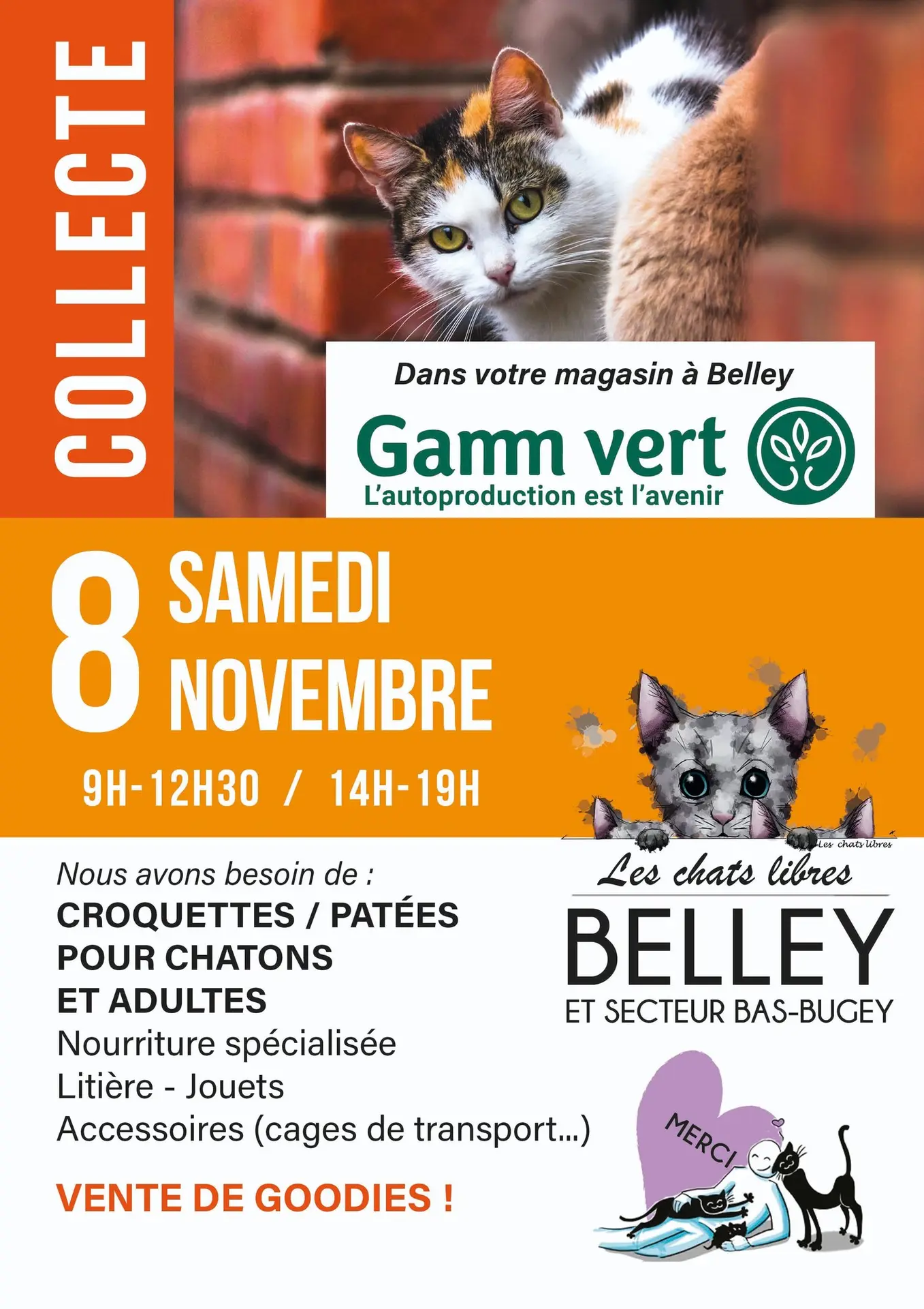 Collecte de nourriture et objets pour chatons et chats_Belley