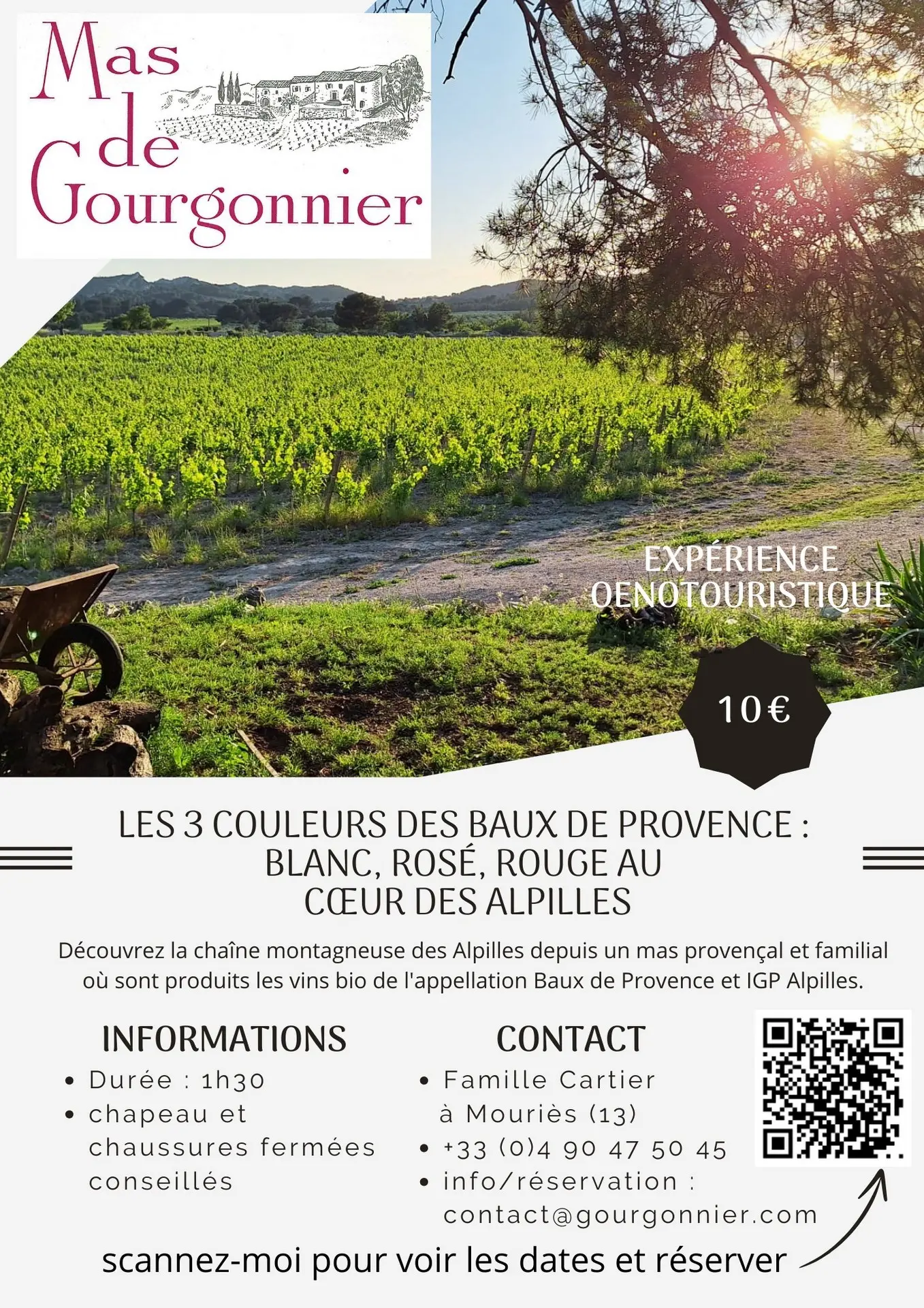 Visite d'un domaine viticole - Mas de Gourgonnier_Mouriès_programme 2025