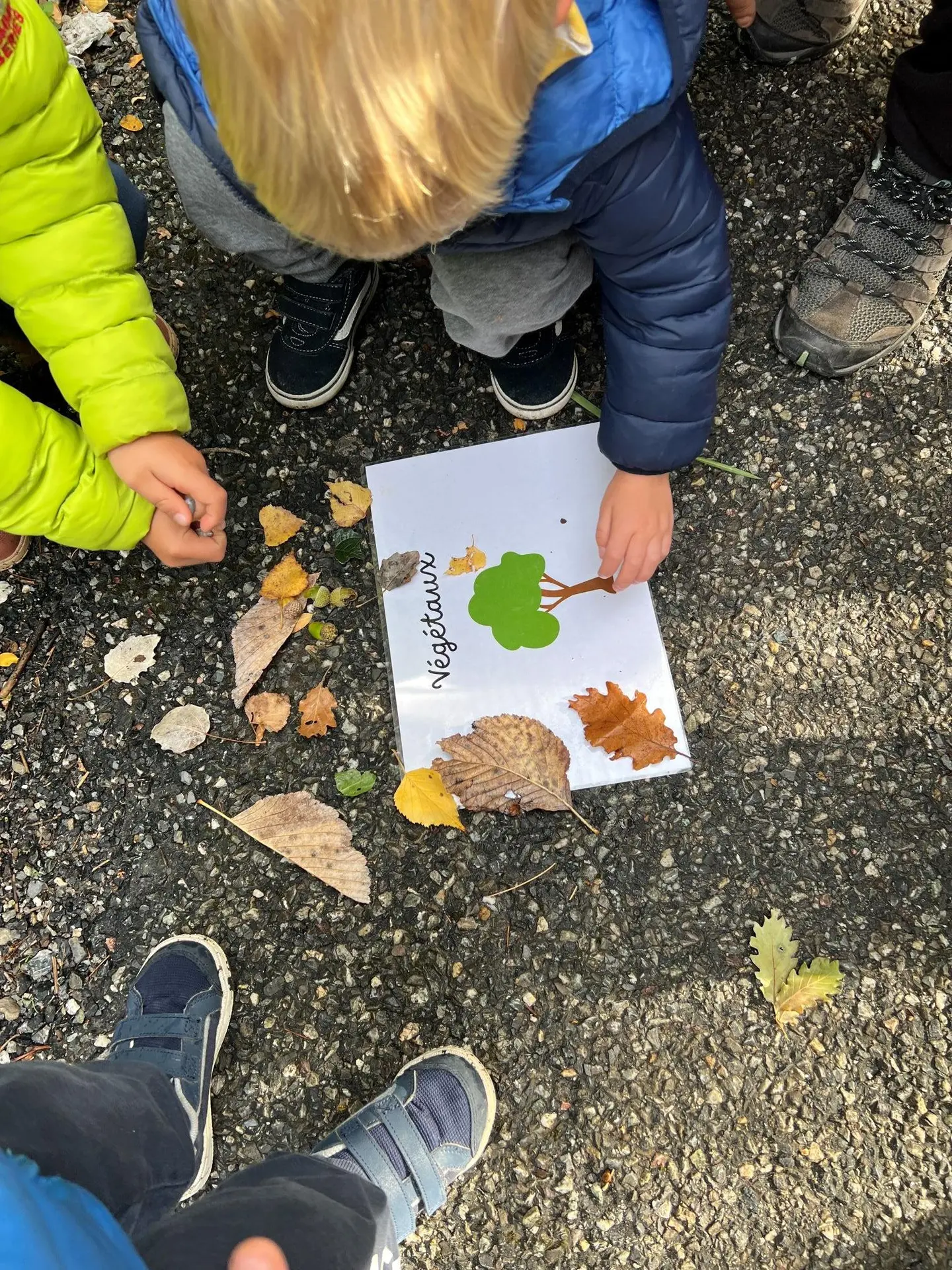 Fontaine pétrifiante explorateurs