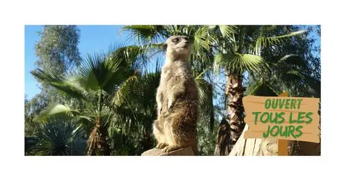 Visite guidée pour les vacances de la toussaint