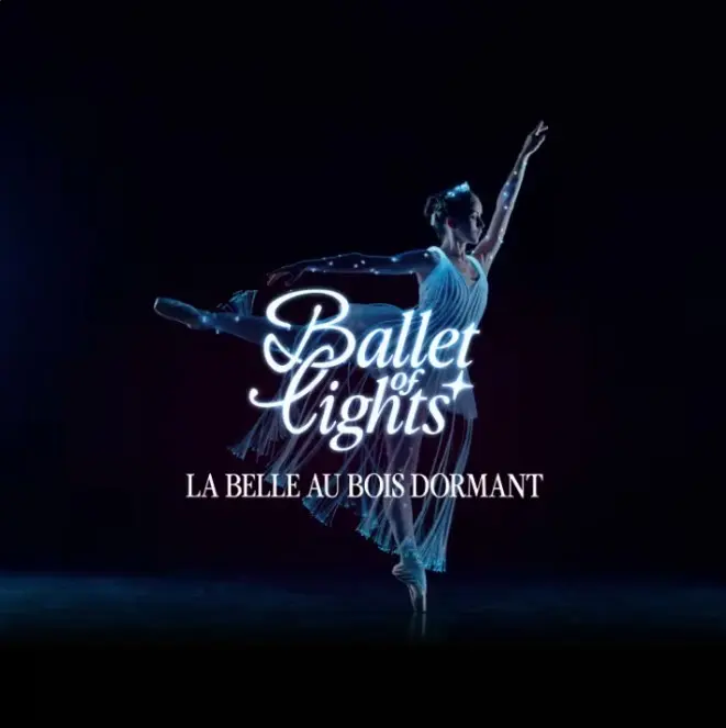 Ballet of Lights: la Belle au bois dormant_Avignon