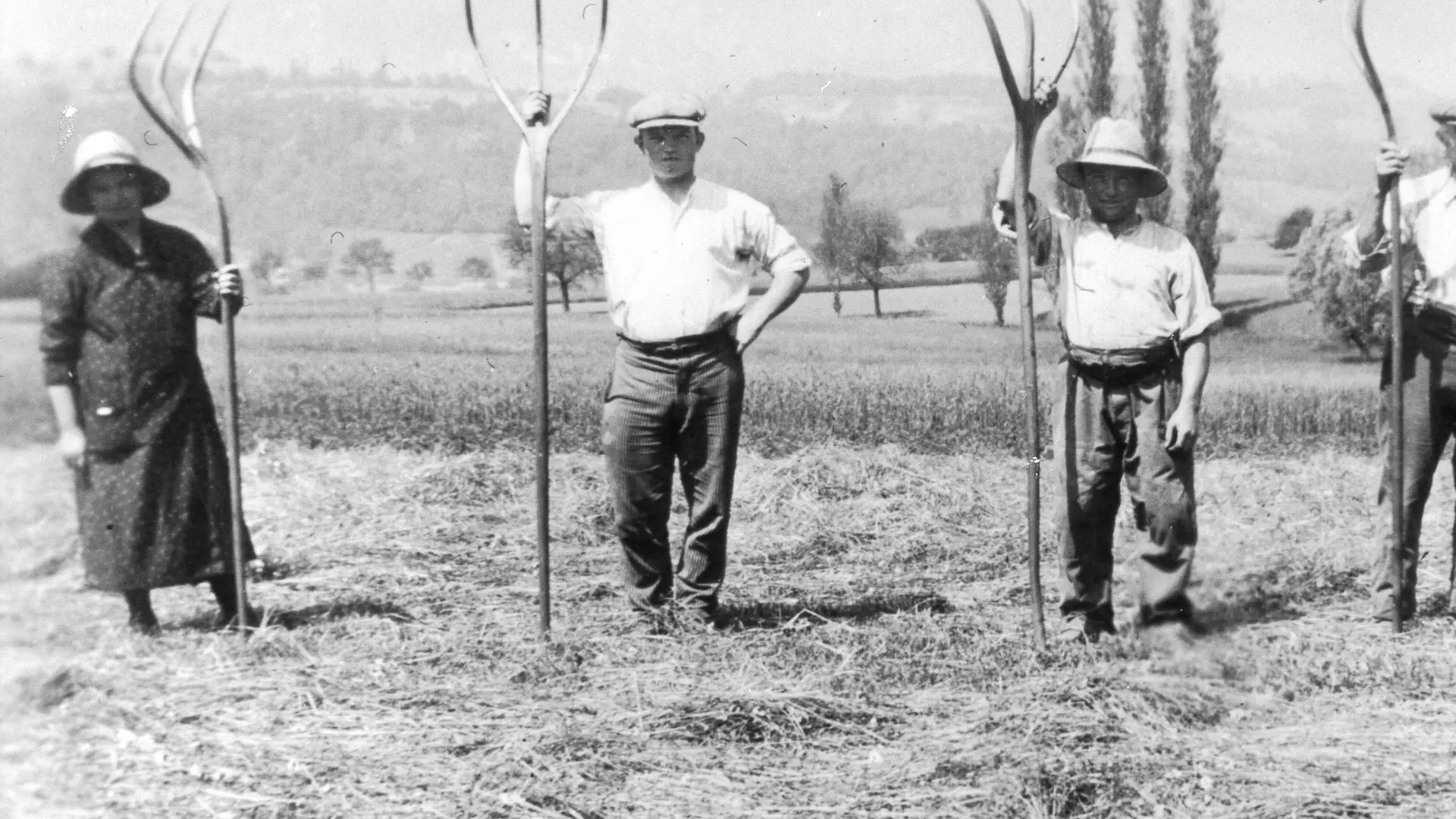 Fenaison chez Dunoyer