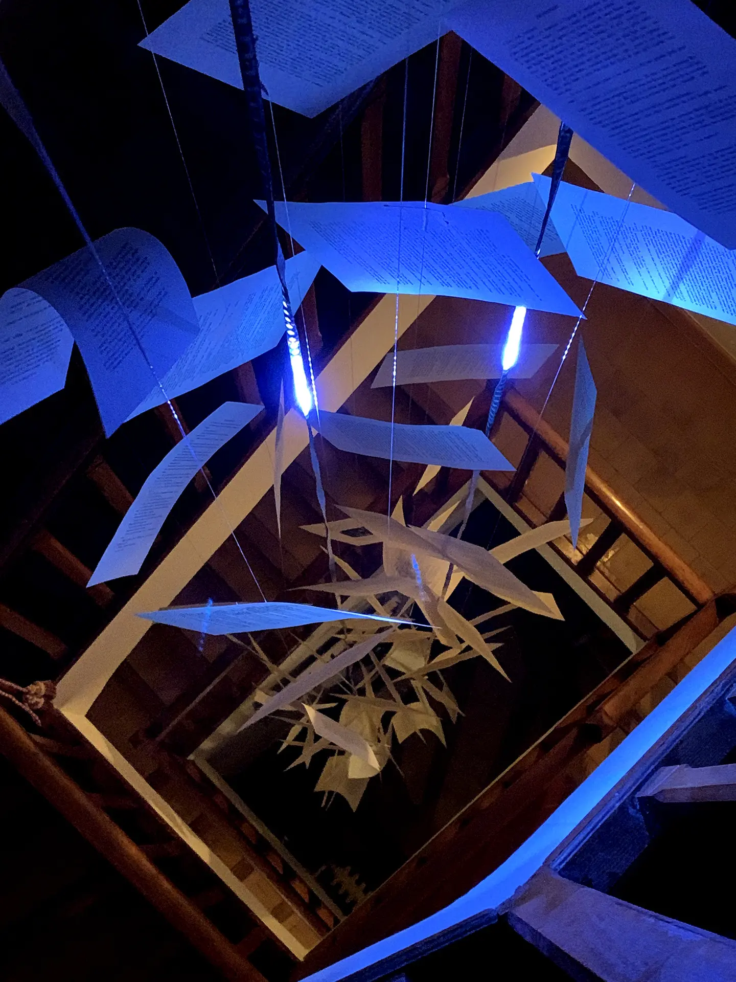 Domaine Enigma - Jules Verne