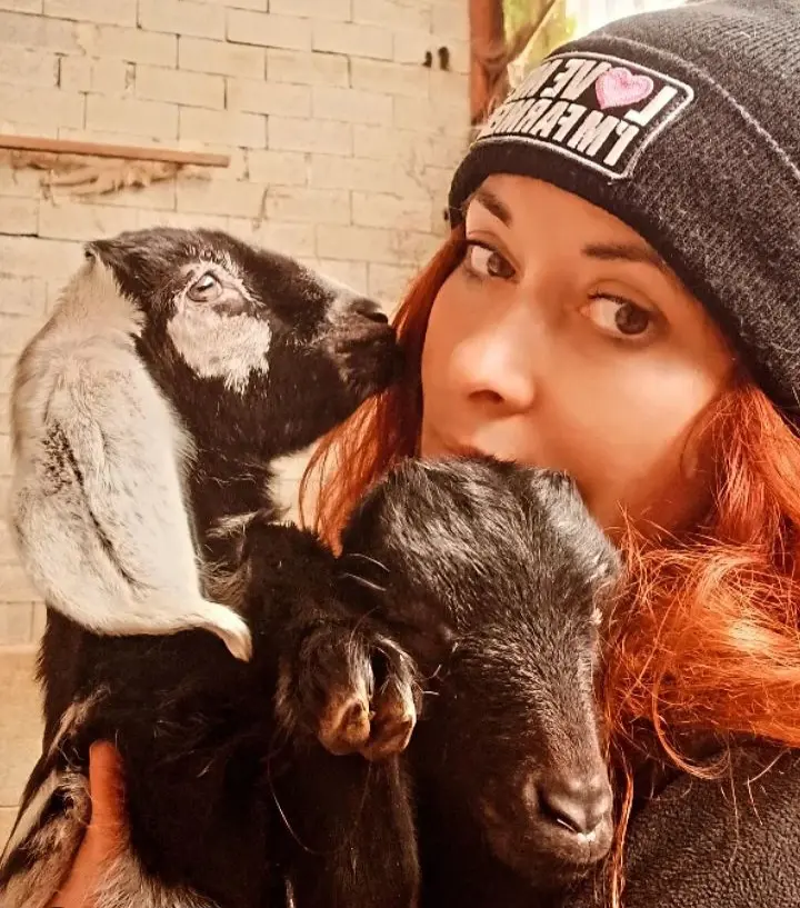 Les animaux du Domaine de la Beaumette