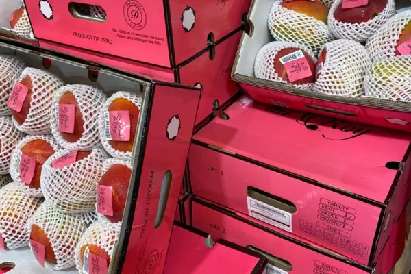 Visite exclusive du M.I.N des Arnavaux