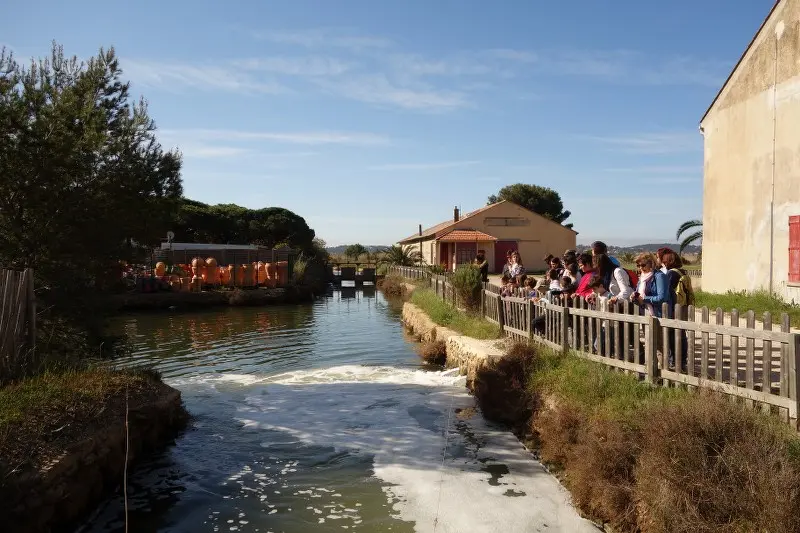 visite guidée au pays du sel salin des pesquiers enfants ludique
