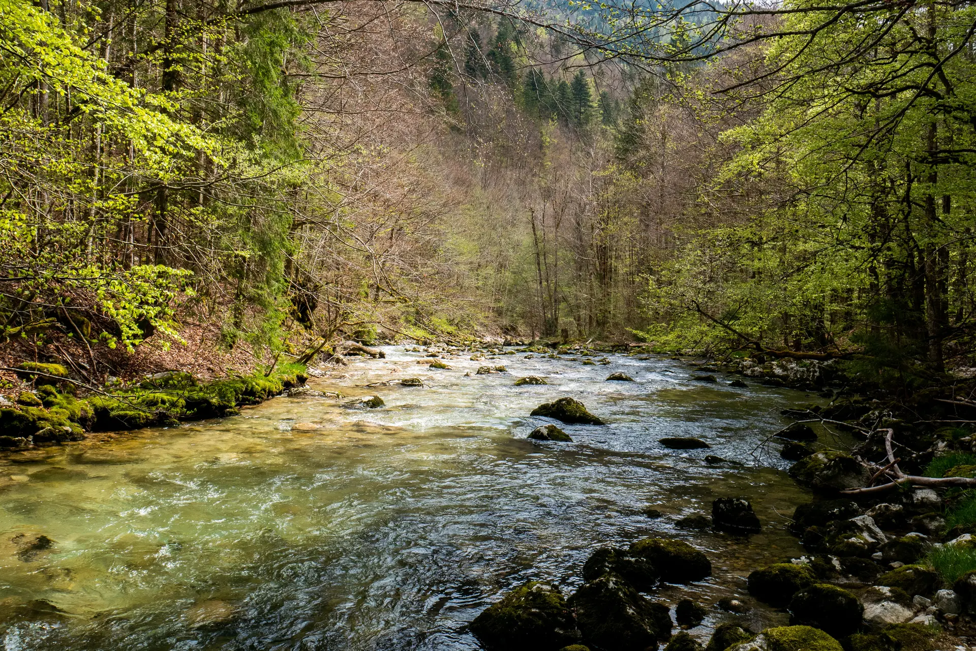 Photo d'une rivière locale