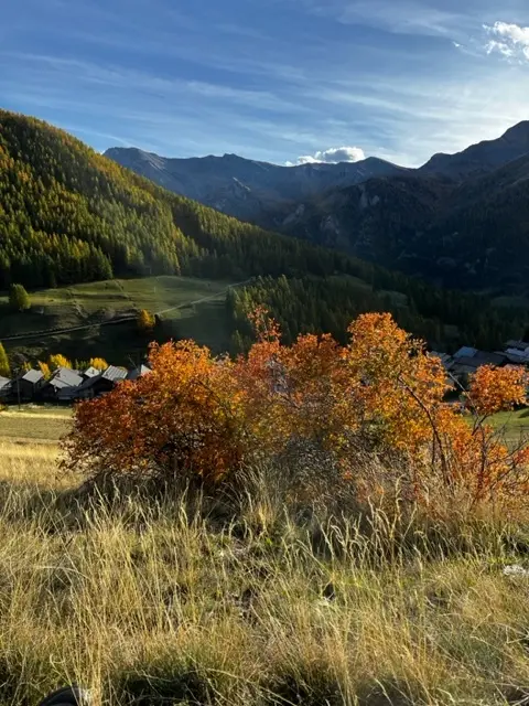 Visite patrimoniale