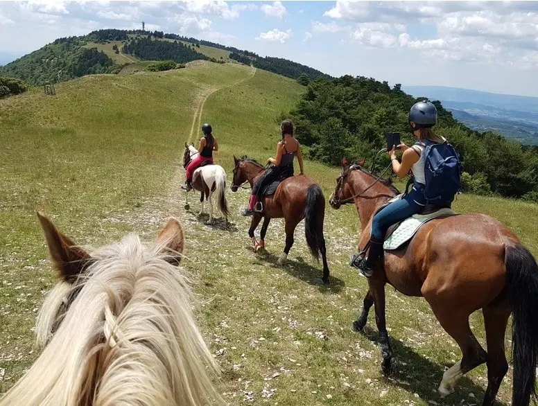 Journées portes ouvertes aux écuries de Sebo à Cadenet_Cadenet